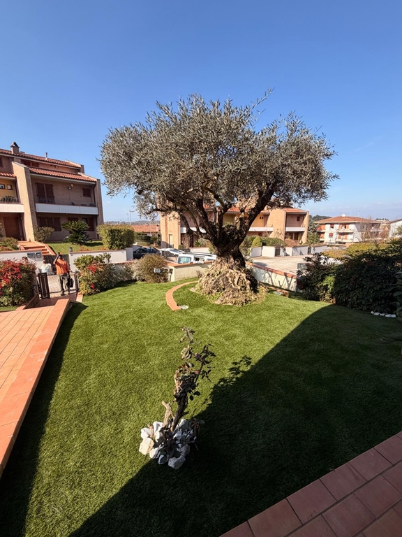 ViViMed  [Custom:Titolo]