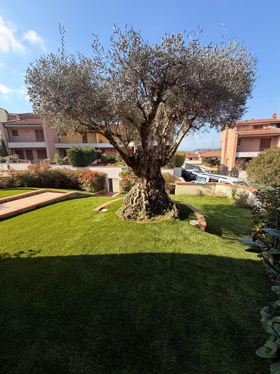 ViViMed [Custom:Titolo]